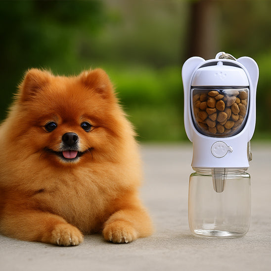 Chien devant une gourde pour chien blanc