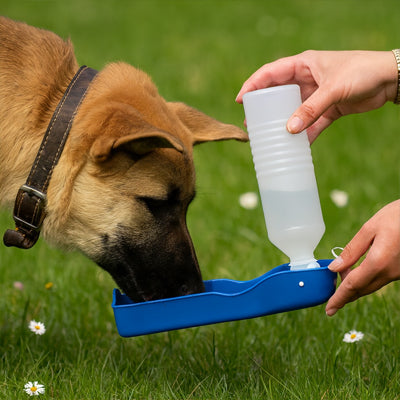 Chien qui s’hydrate avec une gourde pour chien bleu portable lors d’une randonnée au parc.