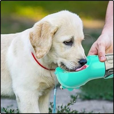 gourde-pour-chien-bleu