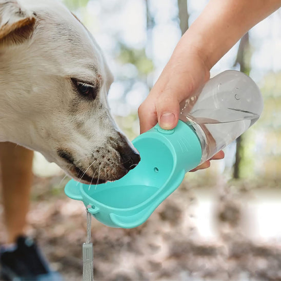 Chien buvant dans une gourde pour chien bleu