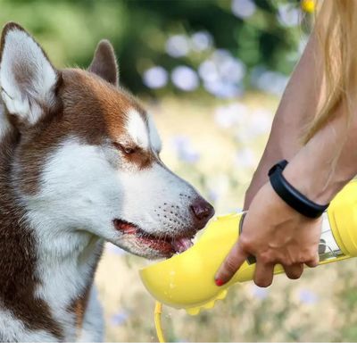 gourde-pour-chien-jaune-pratique
