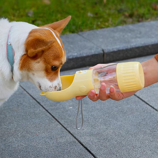 Chie s'hydratant à l'aide d'une gourde pour chien pratique jaune