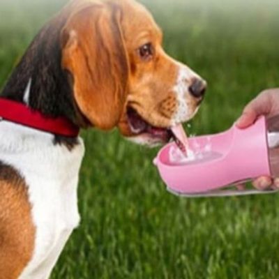 gourde-pour-chien-rose-2-en-1