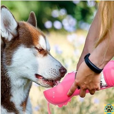 gourde-pour-chien-rose-adaptable