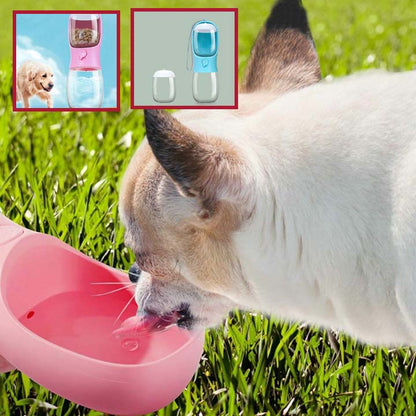 gourde-pour-chien-rose
