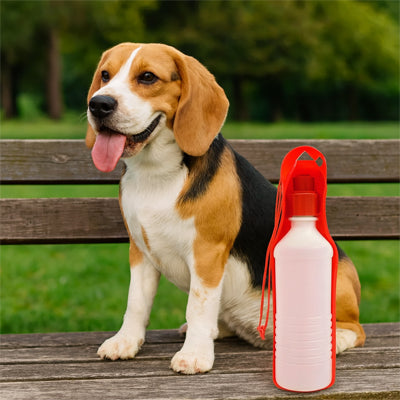 Gourde pour chien rouge utilisée dans un parc pour rafraîchir un petit chien actif.