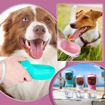 gourde-pour-chien 2 en 1