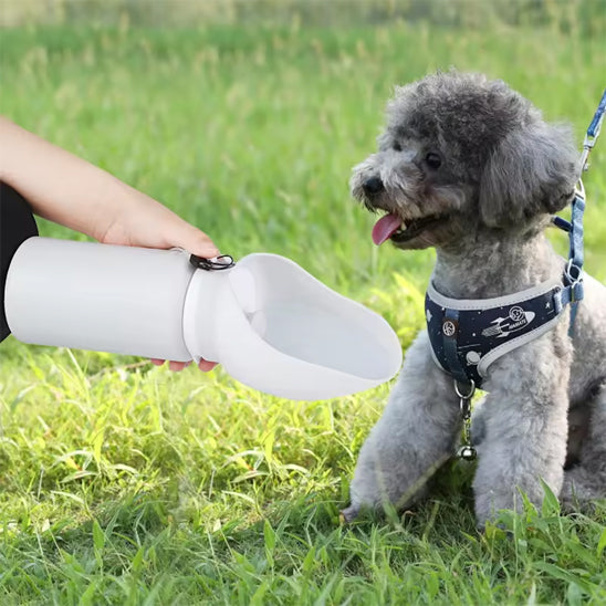 gourde-pour-chiens-pour randonnées