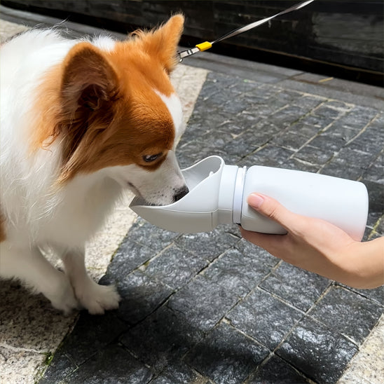 gourde-pour-chiens-pratique-randonnées