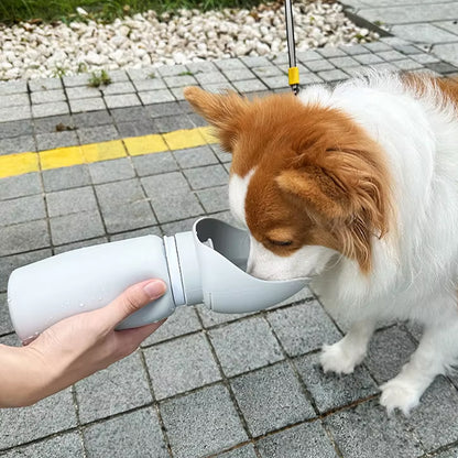 gourde-pour-chiens-propre-hygiénique