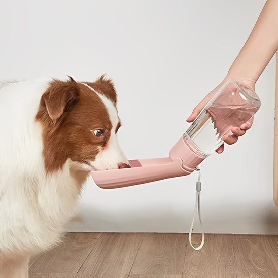 Chien buvant dans la gourde pour chiens bleu rose pâle