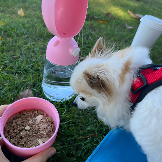 Chien devant gourde pour chiens rose 2 en 1 