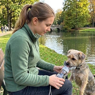 Gourdes pour Chien gris près du lac