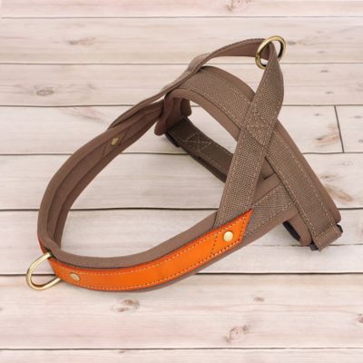 harnais anti traction brun