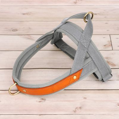 harnais anti traction gris