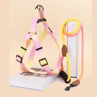 Exposition harnais anti traction rose-jaune