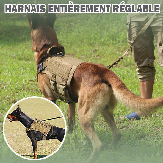 harnais-chien-réglable