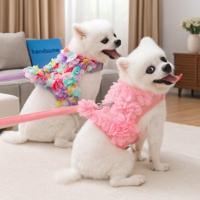 Harnais petit Chien rose dans le salon