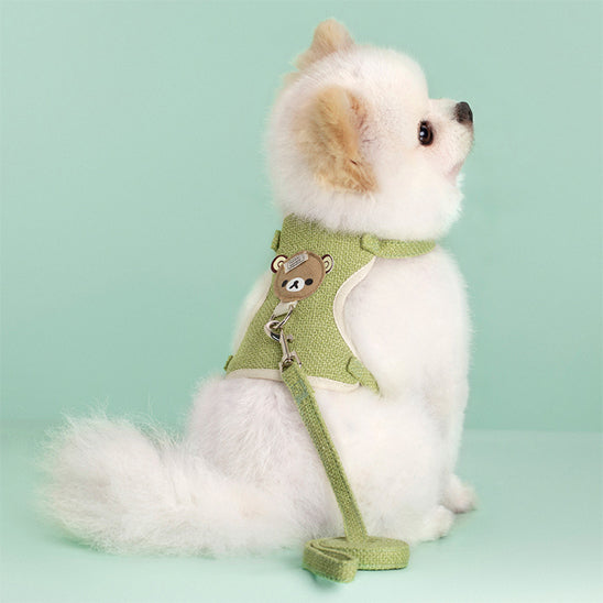 Chien avec un harnais vert assis 