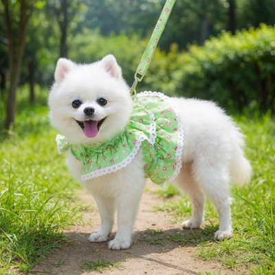 Harnais petit Chien vert