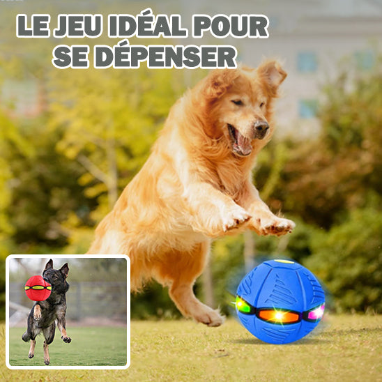 FlyBall™ |Jouet interactif stimulant