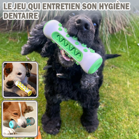 Jouet pour chiens|DentaFun™