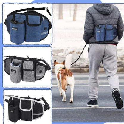 laisse-chien-en-ville