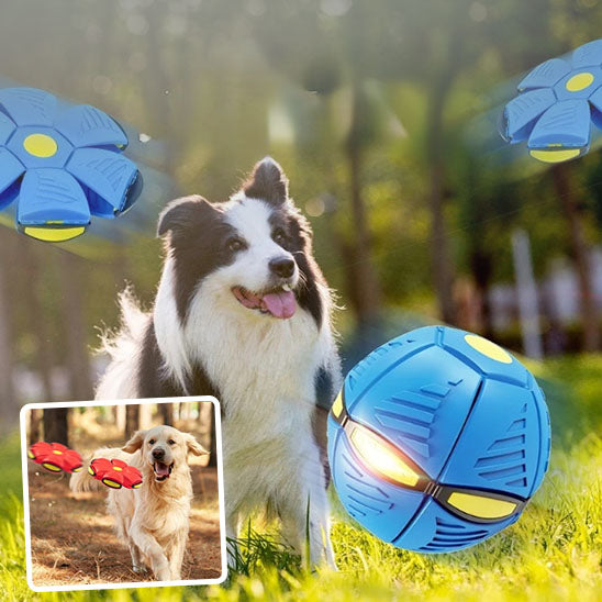 FlyBall™ |Jouet interactif stimulant