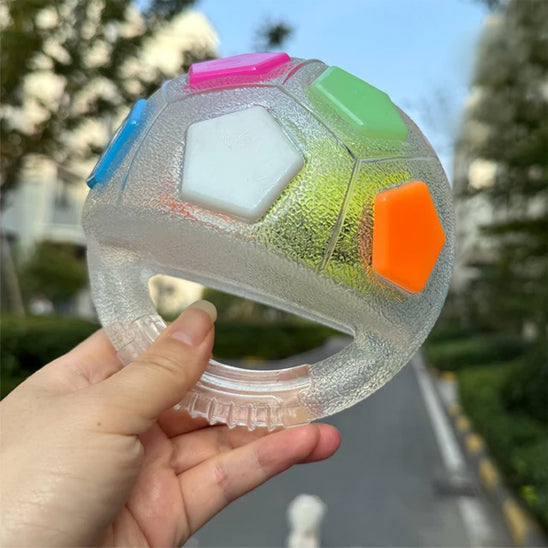 Balle à mâcher interactive avec poignée  blanche transparente et vivepour chien 