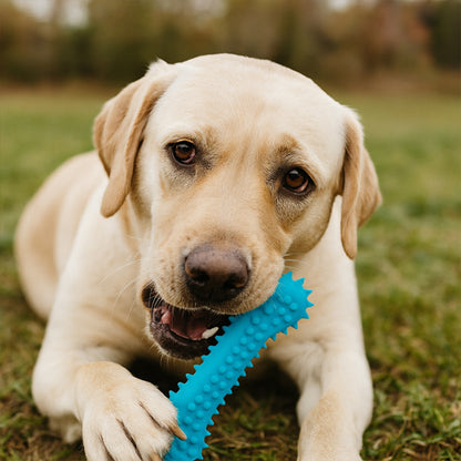 Chien labrador jouant avec un jouet à mâcher en os TPR pour chien, durable et coloré