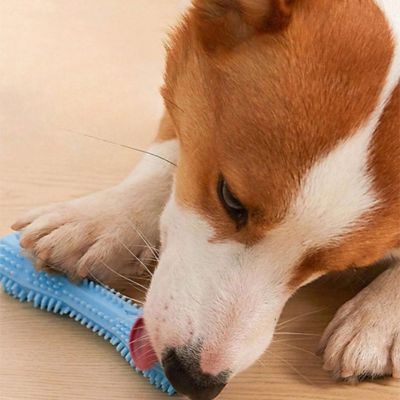 Chien tenant entre ses pattes un jouet pour chien indestructible bleu en silicone dans sa bouche, jouet à mâcher résistant pour chiens actifs.