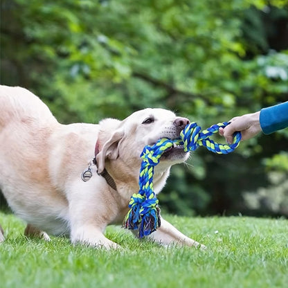 Jouet pour chien indestructible bleu tiré par un chien
