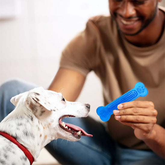 jouet pour chien indestructible bleu