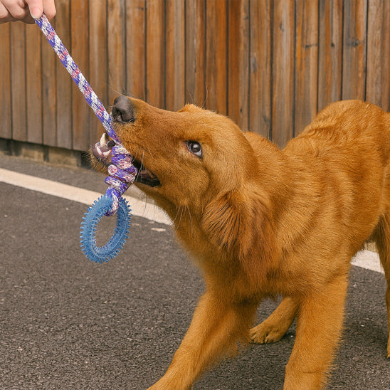 Chien tirant un jouet-pour-chien-indestructible-bleu avec anneau de dentition résistant pour le nettoyage des dents et le jeu interactif