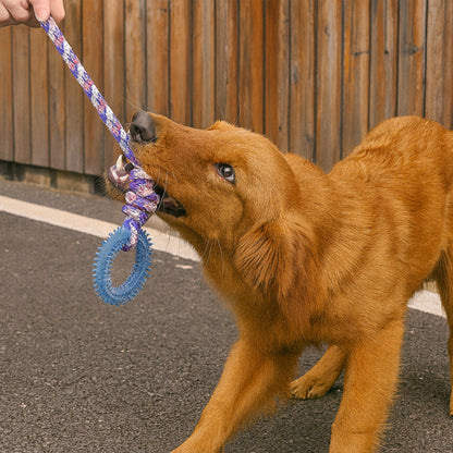 Chien tirant un jouet-pour-chien-indestructible-bleu avec anneau de dentition résistant pour le nettoyage des dents et le jeu interactif