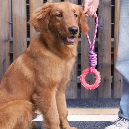 Chien assis à côté du maître tenant le Jouet-pour-chien-indestructible-rose en caoutchouc avec anneau de dentition durable pour chien actif