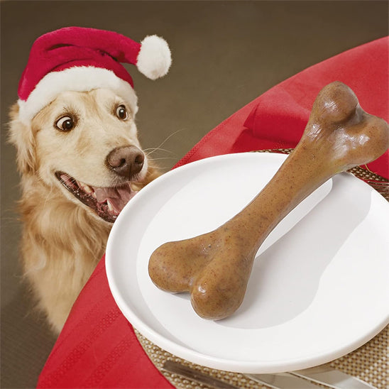 Jouet pour chien indestructible dans une assiette devant un chien