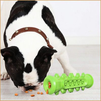 chien mangeant les croquettes excrètent du jouet pour chien indestructible qui allie jeux et dégustation de friandises