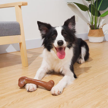 Chien allongé dans le salon regardant un jouet en forme d’os entre ses pattes, jouet à mâcher pour chien, moment de complicité.