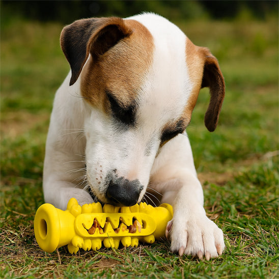 Chien en pleine séance de jeu avec un jouet pour chien indestructible jaune de stimulation intellectuelle qui réduit le stress et favorise son bien-être.