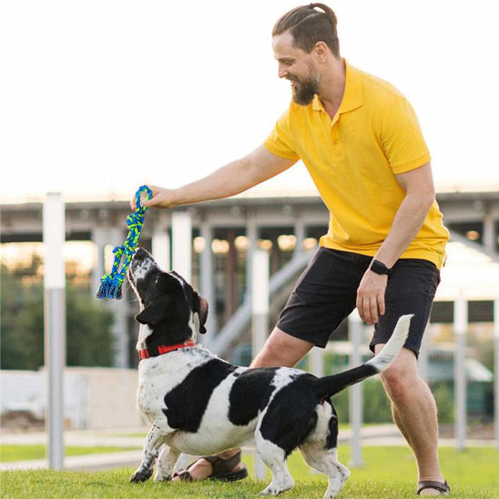 Chien jouant avec son maître avec son jouet pour chien indestructible