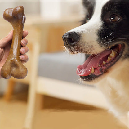 Jouet pour chien indestructible montre pour un chien