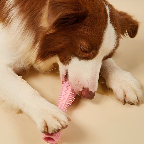 Chien tenant entre ses pattes un jouet pour chien indestructible en silicone dans sa bouche, jouet à mâcher durable pour chiens actifs.
