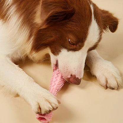 Chien tenant entre ses pattes un jouet pour chien indestructible en silicone dans sa bouche, jouet à mâcher durable pour chiens actifs.