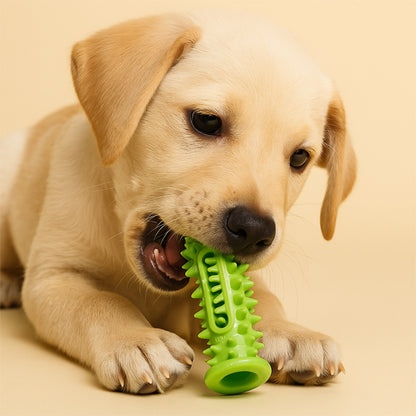Chien jouant avec un jouet pour chien indestructible vert de stimulation intellectuelle qui réduit les comportements destructeurs