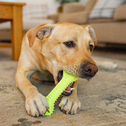 Labrador mâchant un jouet pour chien en forme d’os en caoutchouc TPR, idéal pour le jeu et la dentition