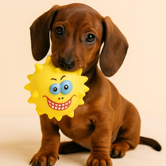 Chien de taille moyenne jouant dans le salon avec un jouet pour chien couineur en latex jaune de 7,5 cm, parfait pour stimuler et occuper à la maison.