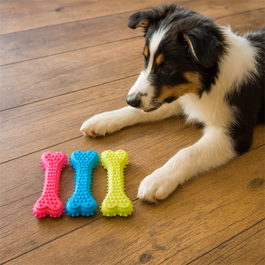Chien labrador heureux avec ses trois  jouets à mâcher en os en caoutchouc souple, parfait pour s’amuser et renforcer ses dents"