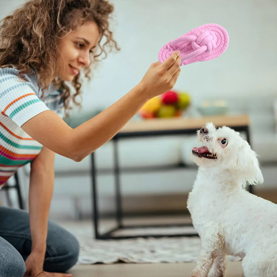Femme tenant dans sa main un jouet pour chien rose devant son chien blanc