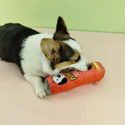 Chien mâchant son jouet pour chien rouge